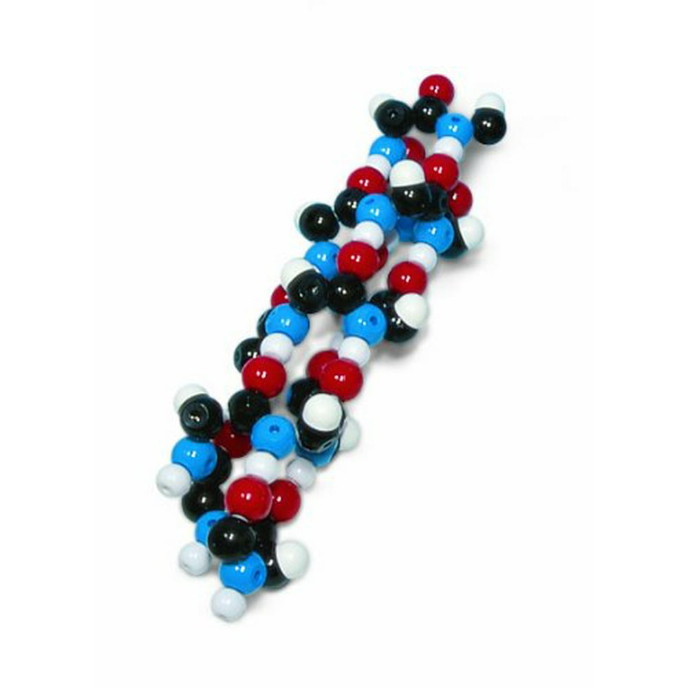 Molymod W19753 105 Piece Alpha Helix Molecular Model Kit