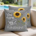 thumbnail image 2 of Pillow Covers 18x18 Set of 2, Sunflowers Square Throw Pillow Covers for Couch/Sofa/Living Room, Modern Bee You Are My Sunshine Grey Decorative Soft Pillowcases for Couch Throw Pillows, 2 of 9
