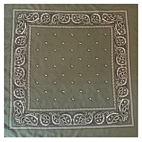 WYOMING TRADERS Bandana Sage Regular Silk Scarf (BS)