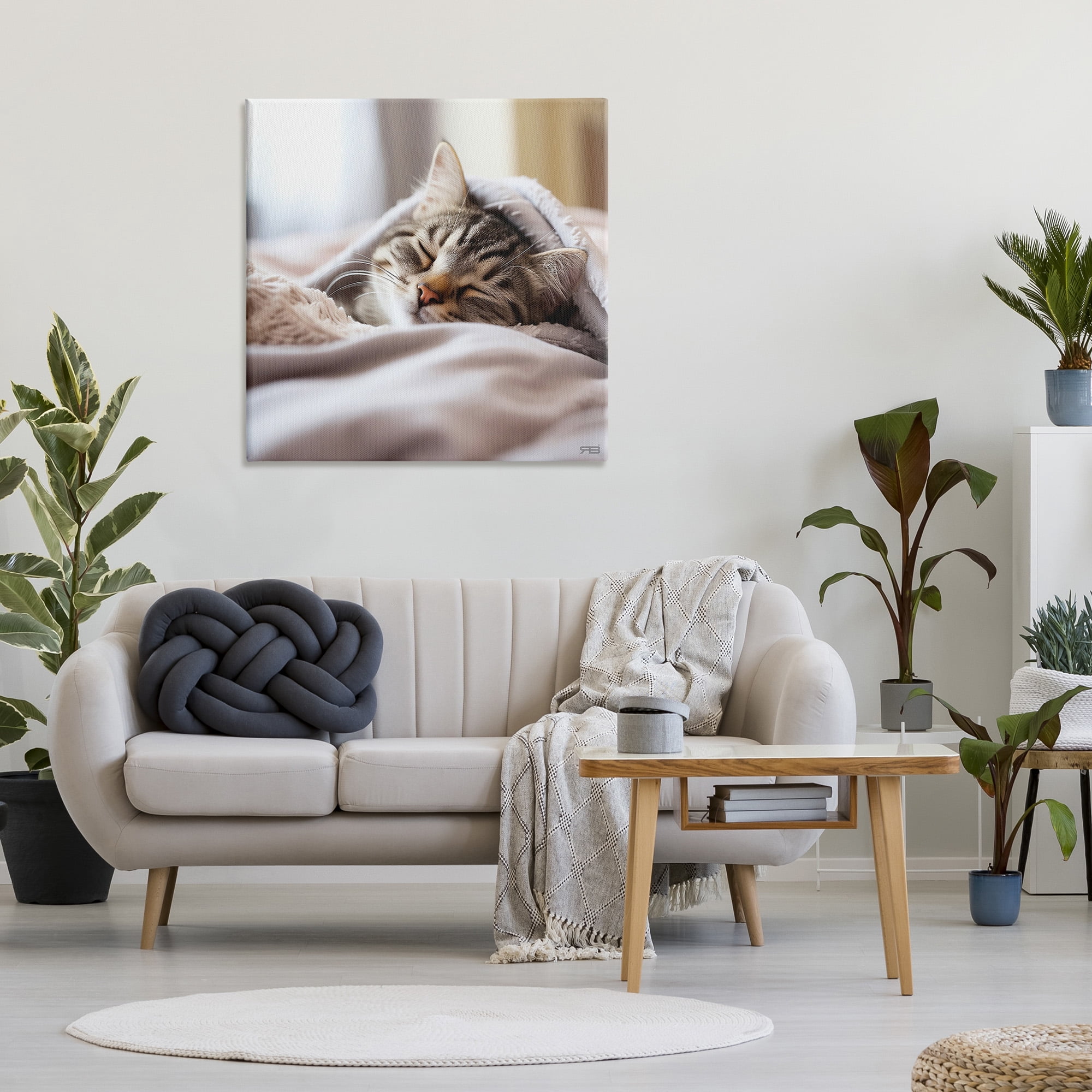 Stupell Industries Cozy Sleeping Kitten Animals & Insects Painting Gallery Wrapped Canvas Art Print Wall Art, 36 x 36