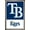 Bronze Framed Version, variant on MLB Tampa Bay Rays - Logo 22 Wall Poster, 22.375" x 34"