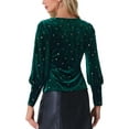 thumbnail image 3 of INSPIRE CHIC Party Velvet Tops for Women's Round Neck Lantern Long Sleeve Metallic Stars Blouse Top XS Dark Green, 3 of 5