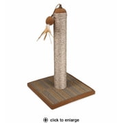 Image medium_image