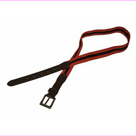 Polo Ralph Lauren Mens Striped Leather Trim Stretch Belt (36, Orange/Navy)