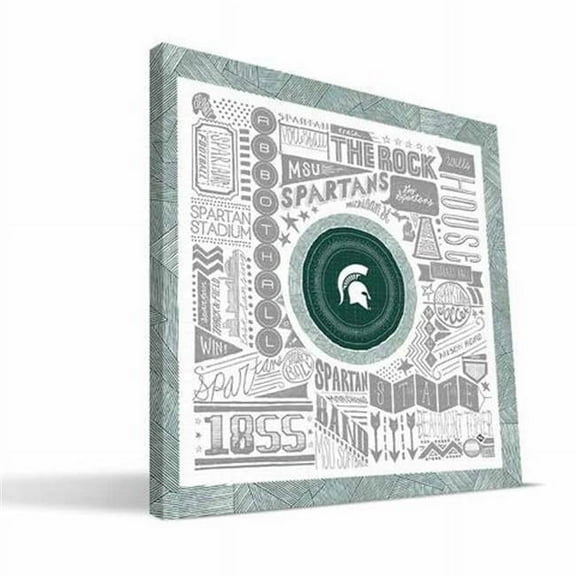Paulson Designs MCSPG2424 Michigan State Pictograph Canvas, 24 x 24 in.