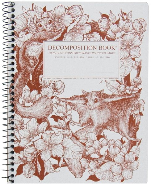 Book Coilbound Loaves and Fishes Decomposition Books 