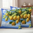 thumbnail image 4 of 2 Pack Outdoor Waterproof Throw Pillow Covers,Summer Ocean Lemon Fruit Tree Decorative Square Patio Pillowcases for Chair Couch Sofa 16x16in, 4 of 9
