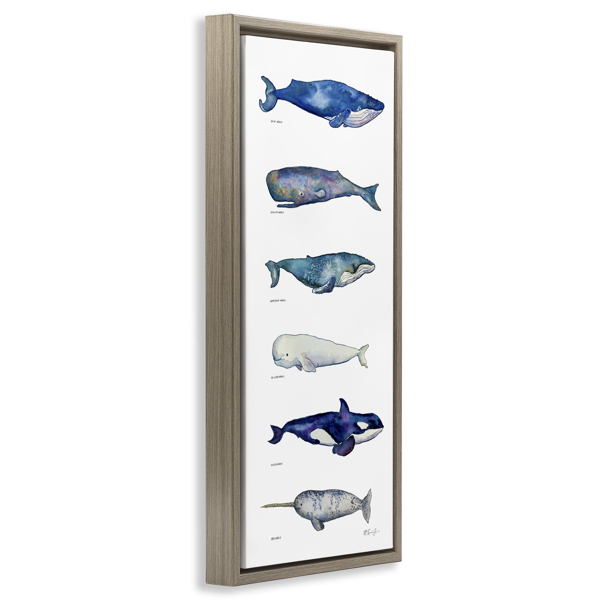 Stupell Industries Maritime Sea Life Chart Animals & Insects Painting Brown Floater Framed Canvas Art Print Wall Art, 15 x 31