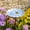 Light Blue, variant on Glazed Ceramic Pollinator Waterer With Stake, Flower-Shaped Insect Feeder and Bird Bath for Outdoor Garden Yard Decor, Weather-Resistant Floral Design