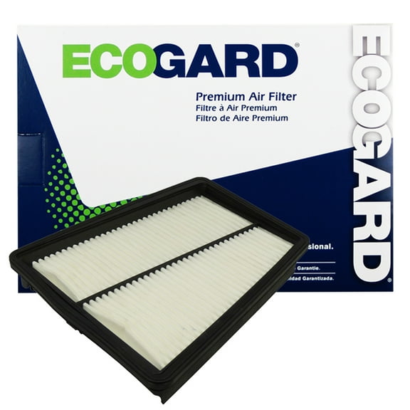 ECOGARD XA6056 Premium Engine Air Filter Fits 2012-2014 Hyundai Genesis, 2012-2016 Equus, 2015-2017 Kia K900, Right
