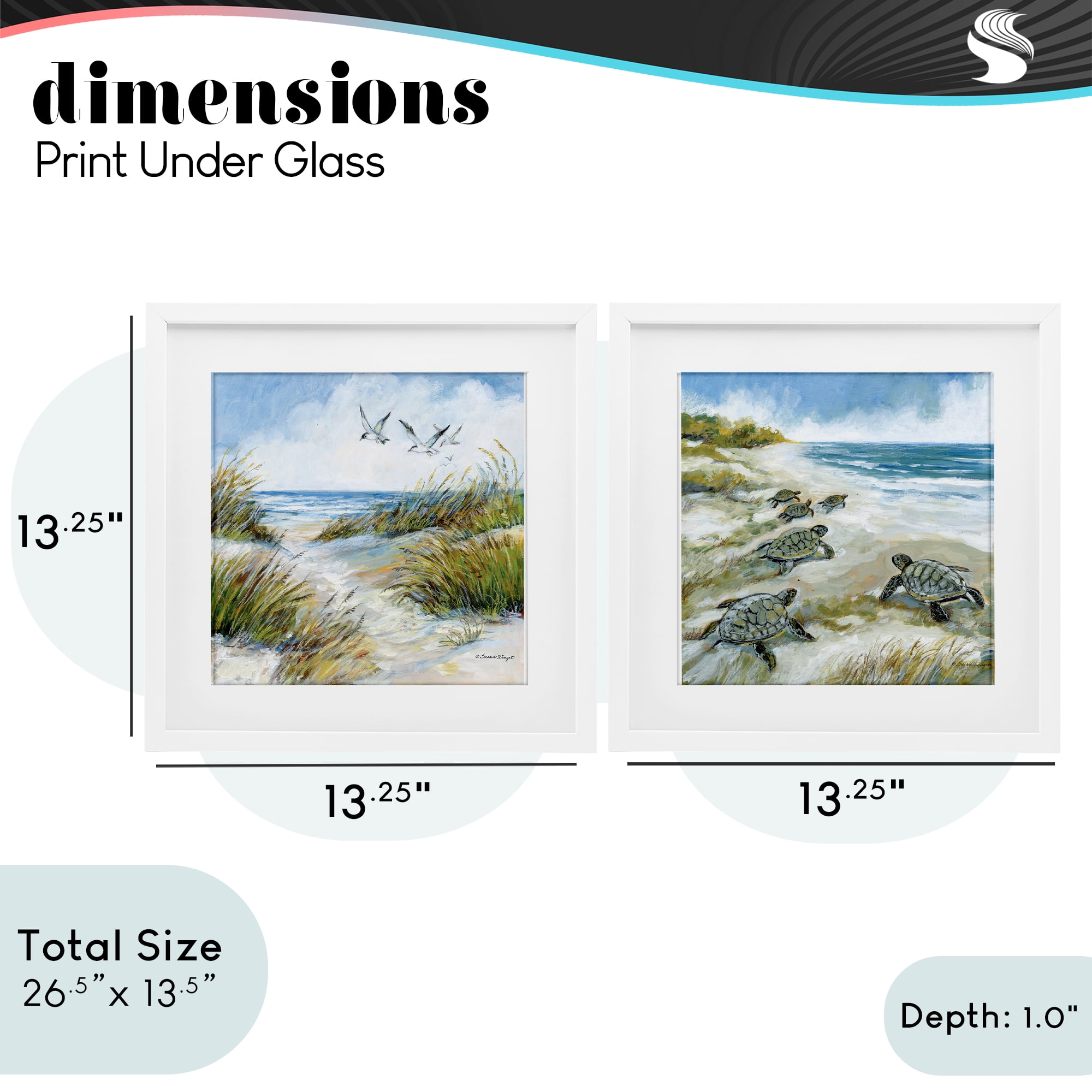 Stupell Industries Beach Creatures on Dunes 2 Piece White Framed Print Under Glass Set, design by Susan Winget