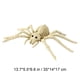 thumbnail image 3 of Decoraciones de Esqueleto de Serpiente y Araña para Halloween | Mini Esqueletos Articulados de Plástico | Decoración Ligera y Reutilizable para Fiestas de Halloween | Cementerio de Casas Embrujadas p, 3 of 5