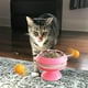 thumbnail image 4 of Juguete Para Gatos Con Ventosa, Tocadiscos, Palo Para Gatos Con Bola De Hierba Gatera, Juguete Divertido Interactivo Para Gatos matsuzay PT002667-03, 4 of 6