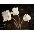 thumbnail image 2 of Amy Melious 36x28 Gallery Wrapped Canvas Wall Art Titled - Garden Love Letter II, 2 of 4
