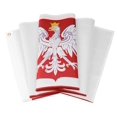 thumbnail image 3 of Bandera DANF FLAG Polonia 91x152 cm Poliéster, 3 of 3