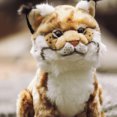 thumbnail image 4 of Realistic Lynx Stuffed Plush Toy, Canada Lynx Plushies, 4 of 8
