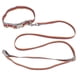 thumbnail image 5 of Juego de collar y correa para perro, collar ajustable para mascotas de algodón y poliéster y cuerda de tracción para pasear perros, 5 of 8