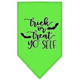 thumbnail image 4 of Halloween Pet and Dog Bandana Screen Printed, "Trick Or Treat Yo' Self", 4 of 10