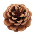 thumbnail image 1 of Conos de pino de Navidad - Decoraciones naturales de cono de pino de Acción de Gracias para Navidad / Decoración del hogar / Artesanía de bricolaje JAMW Sencillez, 1 of 5