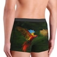 thumbnail image 3 of Goofa Hybrid Parrot in the Forest Printed Men's Boxer Briefs Underwear, Moisture-Wicking Underwear, Trunk,Soft and Breathable Cotton Underwear-X-Large, 3 of 9