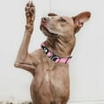 thumbnail image 3 of Dog Collars, Adjustable Pet Collar with ID Tag Ring, Safe and Comfy for Small Dogs Pink, 3 of 6
