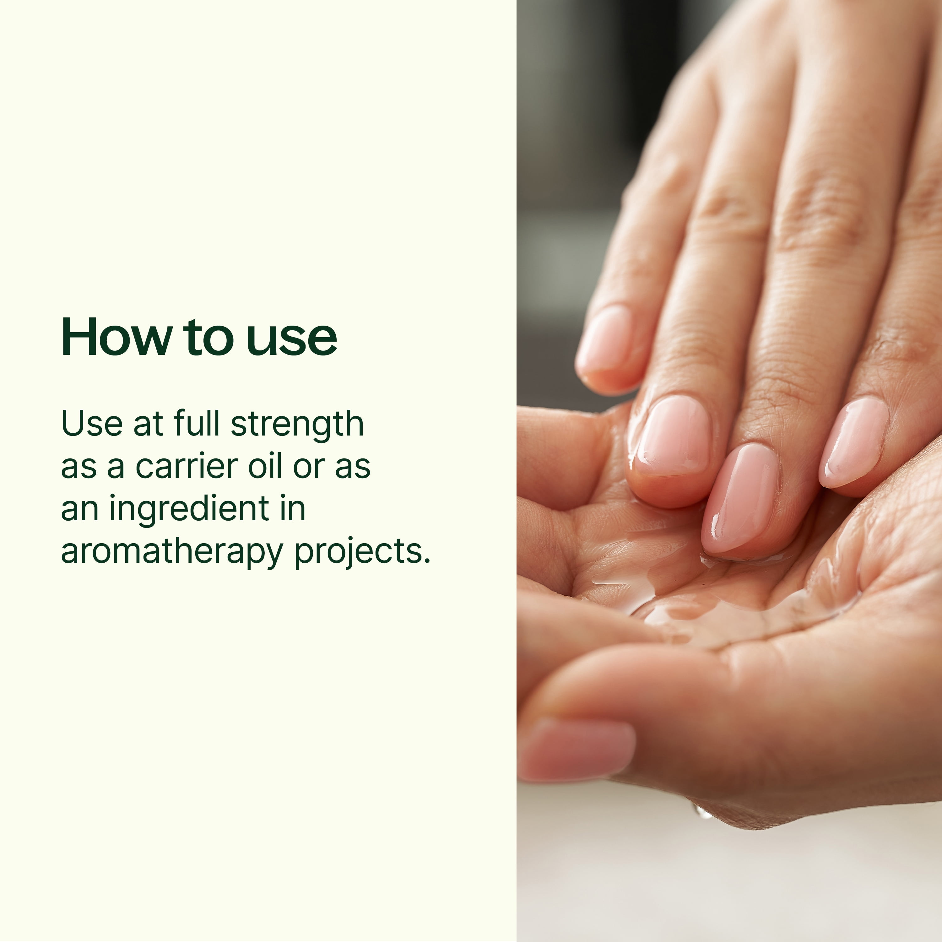 Plant Therapy Organic Jojoba Golden Carrier Oil 16 oz Base Oil for Aromatherapy, Essential Oil or Massage use