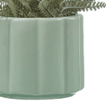 thumbnail image 3 of Bouclair Artificial Fern in Pot, 3 of 4