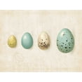 thumbnail image 2 of Pertiet, Katie 24x19 White Modern Wood Framed Museum Art Print Titled - Row of Eggs II, 2 of 4