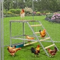thumbnail image 5 of Pinypikaka Chicken Perch for Coop, 37.4"x18.9"x28" Chicken Roosting Bars with Swing and Food Box for Backyard Farm, Roosting Bars for Chickens in Coop, 5 of 6