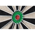 thumbnail image 3 of Viper Vault Cabinet & Shot King Sisal/Bristle Dartboard Ready-to-Play Bundle: Elite Set (Shot King Dartboard, Darts, Shadow Buster and Laser Throw Line), 3 of 7