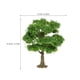 thumbnail image 5 of ELAYARD Árbol Para Micro Paisaje En Verde Con DIY Ideal Para Y Proyectos Creativos, 5 of 6