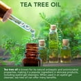 thumbnail image 4 of NOVEHA Gel Limpiador de P&aacute;rpados de &Aacute;rbol de T&eacute; - para Blefaritis, Mgd, y Ojo Seco Con Pro-Vitamina B5, &Aacute;cido Hialur&oacute;nico, y Extracto de Pepino -, 4 of 6