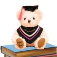 thumbnail image 1 of Oso de peluche de graduación MesaSe 2022, lindo y suave oso de peluche con gorra, oso de peluche de graduación, regalo de graduación personalizado para niños, estudiantes y adultos graduados, elegante, 1 of 4