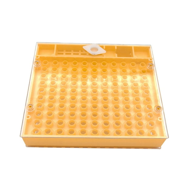 Caja de cría de reina caja de reina multiusos fácil de usar jaula de reina pone huevos equipo de cría de apicultores para puerta exterior