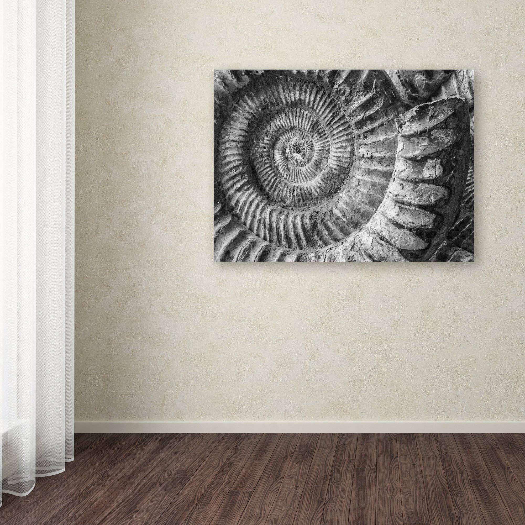 Trademark Fine Art "Amonita 1" Canvas Art by Moises Levy