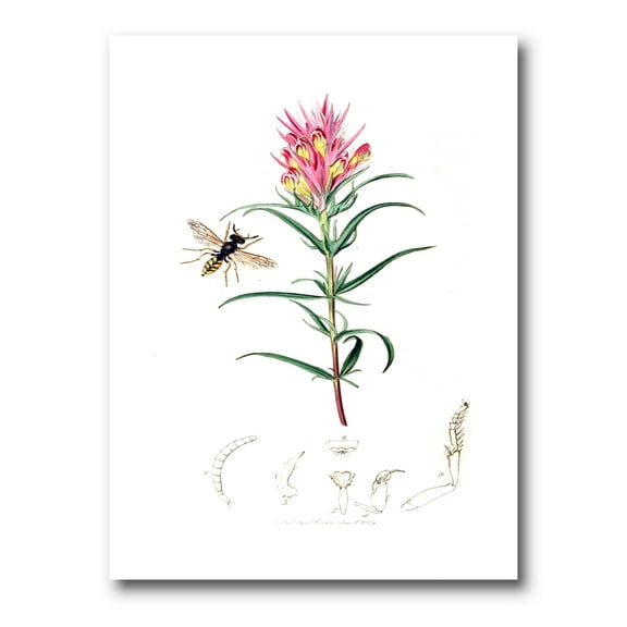 Designart ' Ancient Insects and Plants I ' Farmhouse Canvas Wall Art Print