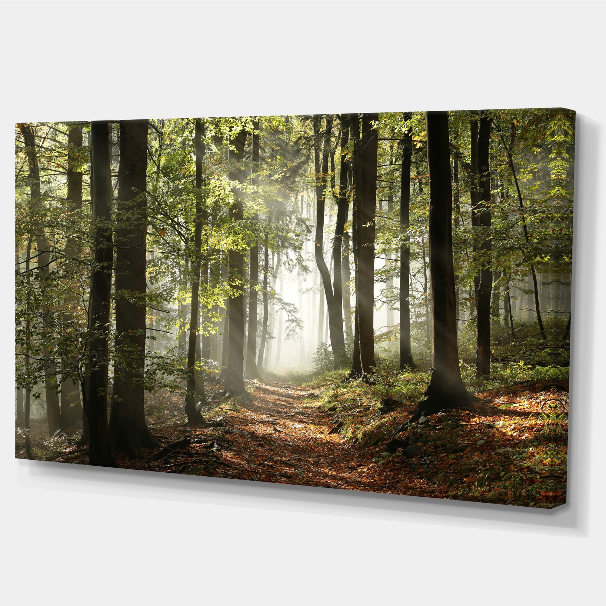 Designart 'Green Fall Forest with Sun Rays ' Landscape Photography Canvas Print