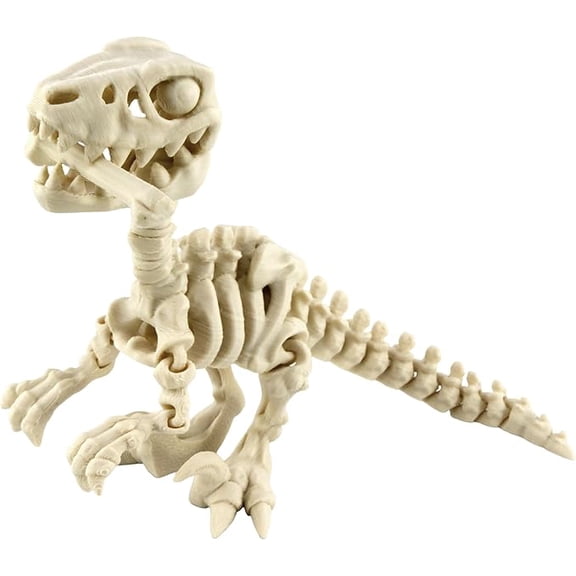 PowerTRC 3D Printed Skeleton Velociraptor – Prehistoric Collectible Articulating Dinosaur 3D Figurine Desk Decoration for Teens and Adults, Made in USA