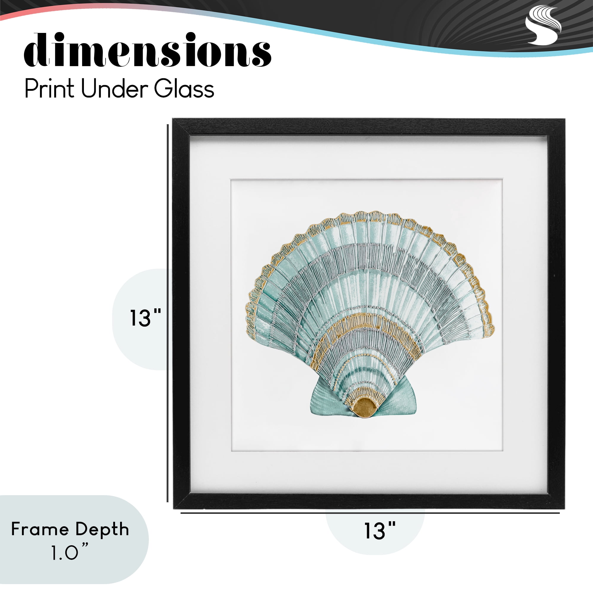 Stupell Industries Regal Shells Scallop Black Framed Print Under Glass, design by Lorenzo Collective