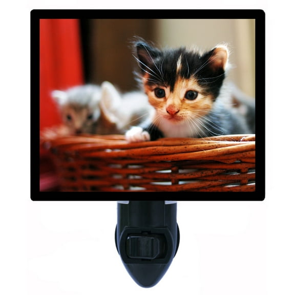 Night Light - Basket Case. | Cat Theme, Includes Free Switchable Insert, 4W Bulb, E12 Base