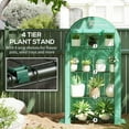 thumbnail image 4 of Outsunny 4 Tier Mini Greenhouse, Portable Greenhouse with Roll-Up Door, and Weatherized Plastic Cover, Green, 4 of 9