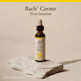 thumbnail image 5 of Bach Original Flower Remedies, Cerato - 20 mL Dropper, 5 of 6