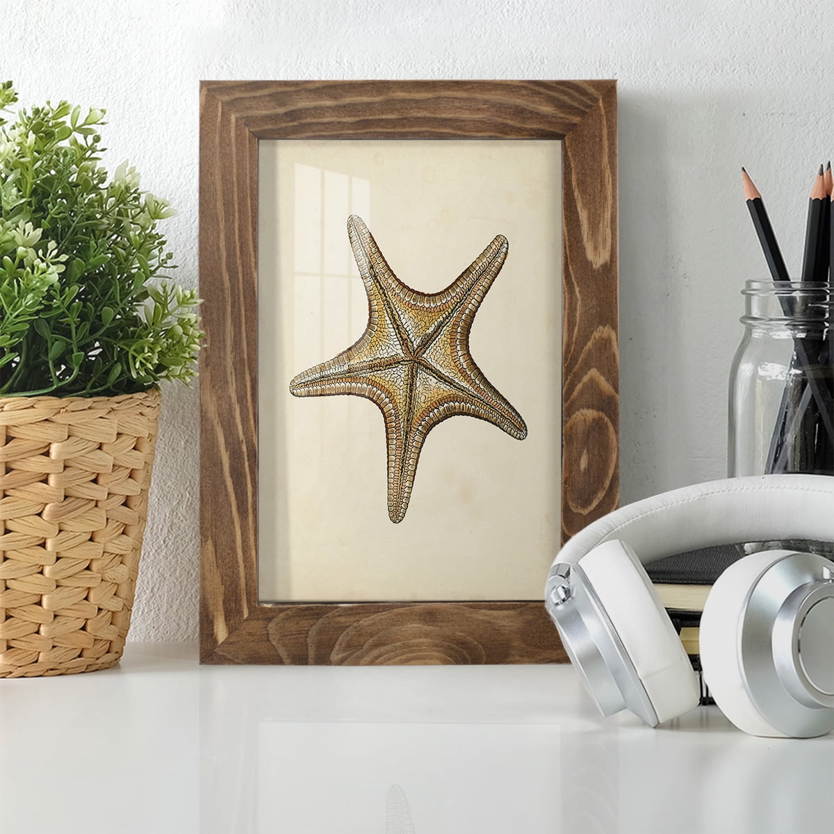 Sealife Collection IV - Framed Print w/glass - Walnut