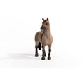 thumbnail image 3 of Figura de juguete Schleich Horse Club Horses 2022 Criollo Definitivo, 3 of 6