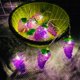 thumbnail image 2 of Cadena de luz en forma de fruta Navidad jardín decoración linterna Gr, 2 of 5