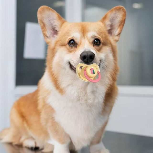 Pet Others Calming Silicone Pacifier for Small Dogs and Cats – Puppy Chew Toy Teething Slider Durable Chewable Calming Toy for