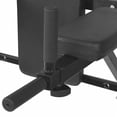 thumbnail image 4 of vidaXL Wall-mounted Fitness Dip Station Black, 4 of 7