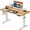 Light Vintage Brown, variant on ErGear Standing Desk, 44 x 24 Inch Small Sit Stand up Desk, Height Adjustable Electric Standing Desk with 4 Memory Setting Computer Home Office Desk with Splice Board (Vintage )
