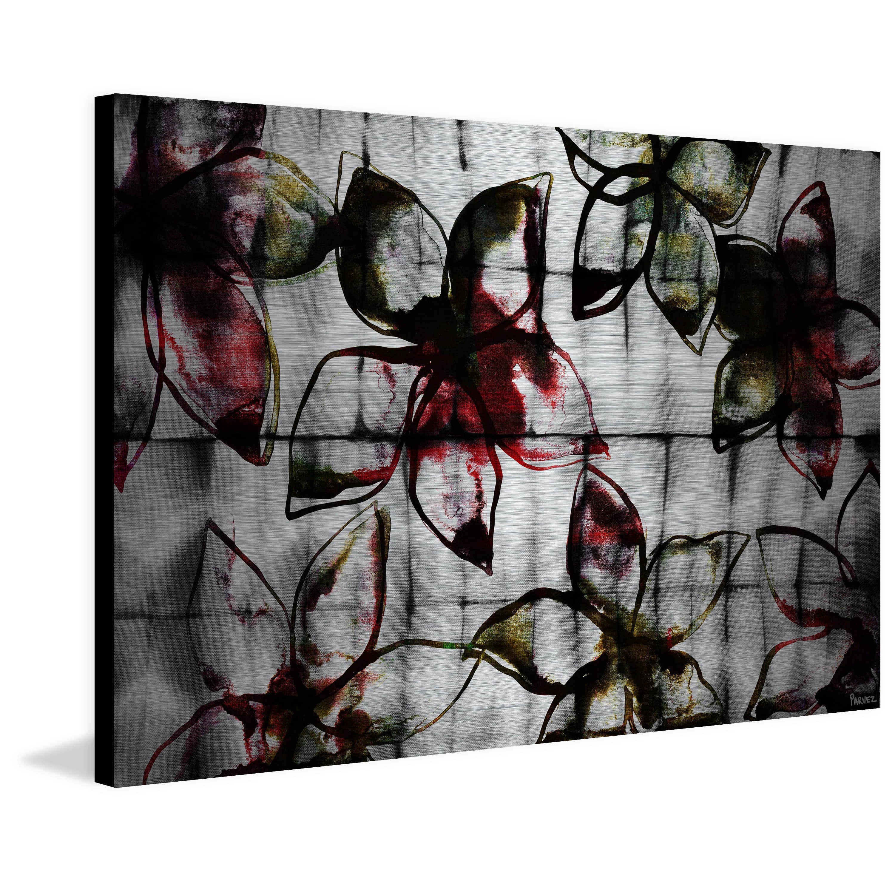 Parvez Taj  - Floral Outlines Painting Print on Brushed Aluminum 36 x 24