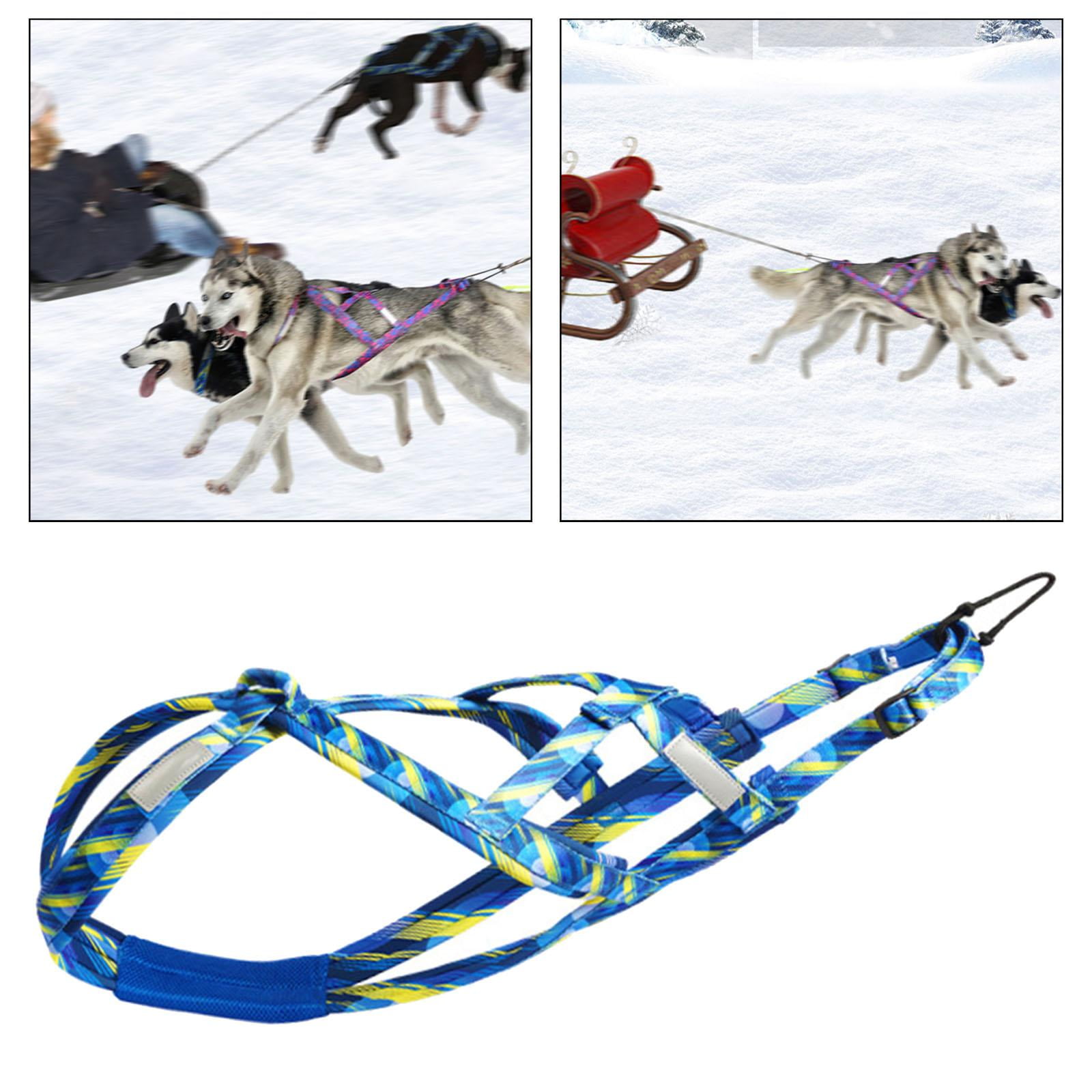 Dog Weight Pulling Harness Husky Harness Professional for Medium Large Dogs, Bikejoring, Dog Mushing Harness Sled Harness , Blue XL